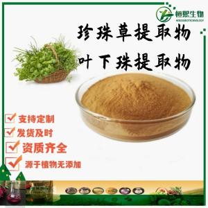 珍珠草提取物 叶下珠提取物 珍珠草粉 假油柑/龙珠草粉支持定制药食同源