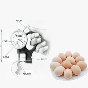 蛋壳厚度测量仪