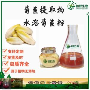 菊苣提取物 菊苣粉 量大从优
