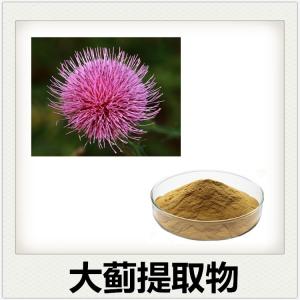 大蓟提取物 支持拿样检测 可拆包定制 水溶无沉淀