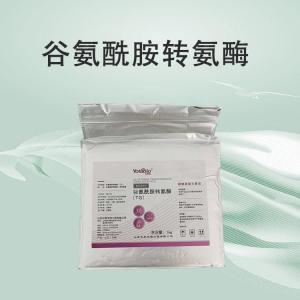 谷氨酰胺转氨酶食品级