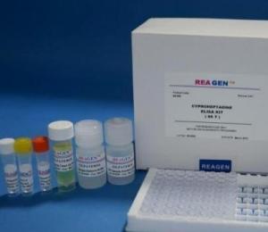小鼠β淀粉样蛋白1-40(Aβ1-40)Elisa试剂盒 产品图片
