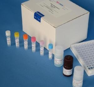 大鼠肌钙蛋白T(Tn-T)Elisa试剂盒 产品图片