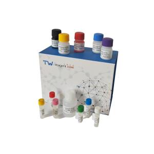 人ODC检测试剂盒  人鸟氨酸脱羧酶 Elisa试剂盒 产品图片