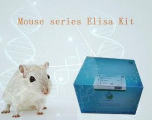 小鼠乙酰胆碱(ACH)elisa试剂盒 产品图片