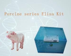 猪组胺(HIS)elisa试剂盒