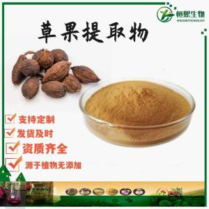 草果提取物 草果粉 草果仁提取物