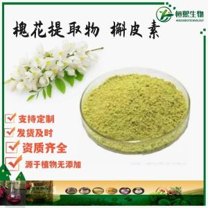 槲皮素 95%98% 槐米提取浓缩粉末 支持定制