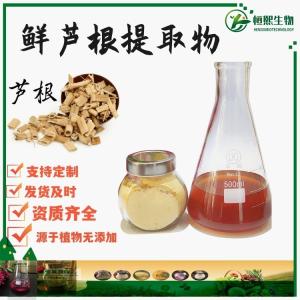 鲜芦根提取物 芦苇根提取物 水溶芦根粉 芦根提取物