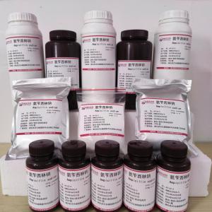 氨苄西林钠—69-52-3 产品图片