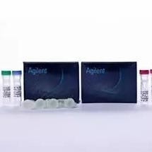 Agilent 210515 QuikChange Lightning多點(diǎn)突變試劑盒 優(yōu)勢