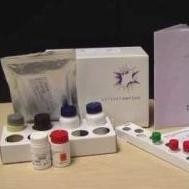 百日咳IgM检测试剂盒 产品图片