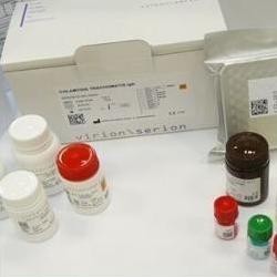 A群流脑IgG抗体试剂盒 产品图片