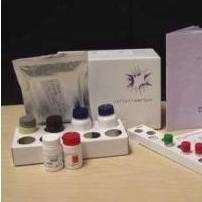 人Th1/Th2细胞因子CBA试剂盒 产品图片