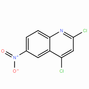 2,4-二氯-6-硝基喹啉CAS号408523-59-1；专业试剂/现货优势供应；质量保证