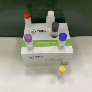 人凝血酶原(PT)ELISA 試劑盒