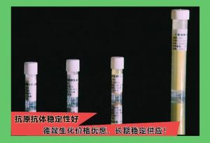 细胞膜糖蛋白Endoglin ( CD105 )