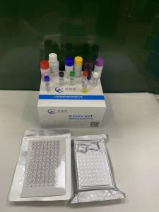 鸡丝氨酸蛋白酶抑制因子肽酶抑制因子进化枝3G Serpina3g ELISA试剂盒