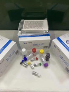豚鼠抗核糖核蛋白抗体 RNP-Ab ELISA试剂盒