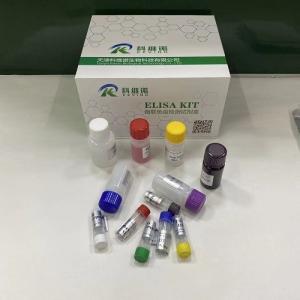 猴粒细胞趋化蛋白-2 GCP-2/CXCL6 ELISA试剂盒