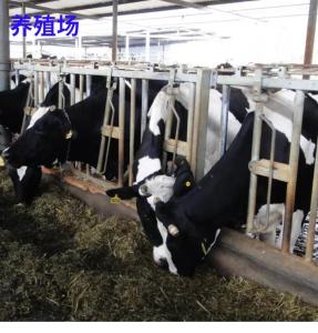 化工厂除臭剂使用及特性