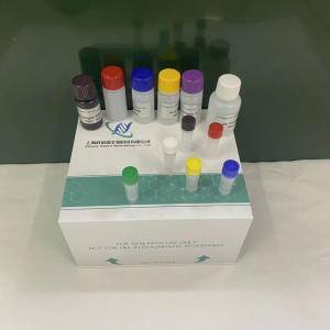 人細胞角蛋白18 CK-18 ELISA試劑盒