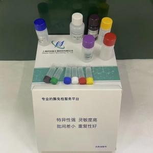 小鼠儿茶酚胺 CA ELISA试剂盒 产品图片