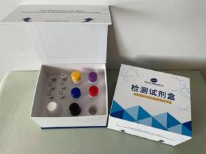 人脾脏酪氨酸激酶 Syk ELISA试剂盒 产品图片