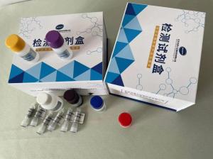人乙酰胆碱受体抗体 AChRab ELISA试剂盒 产品图片