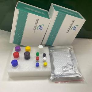大鼠白介素9 IL-9 ELISA试剂盒 产品图片