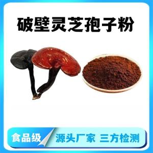 破壁灵芝孢子粉 破壁率 斯诺特生物发货 含税含运