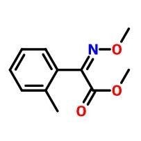 (E)2-甲氧基亚胺基-[(2-邻甲基 苯基)]乙酸 甲酯  CAS: 120974-97-2