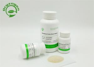 重组人血清白蛋白 OsrHSA产品图片
