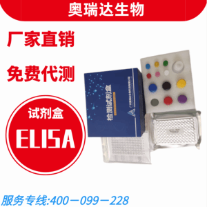 猴白介素2（IL-2）检测试剂盒