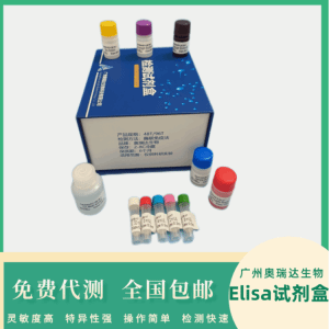 兔 S100 钙结合蛋白（S100）ELISA试剂盒