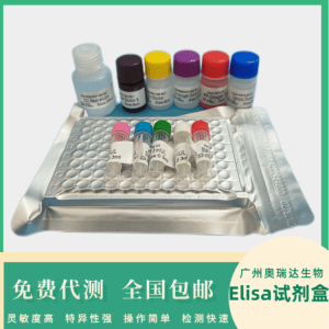 绵羊白介素2受体（IL-2R）检测试剂盒 产品图片