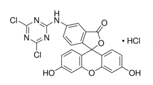 5-([4,6-Dichlorotriazin-2-yl]amino)fluorescein hydrochloride