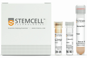 STEMCELL Mouse B Cell Isolation Kit 小鼠 B 细胞分离试剂盒  货号：19854