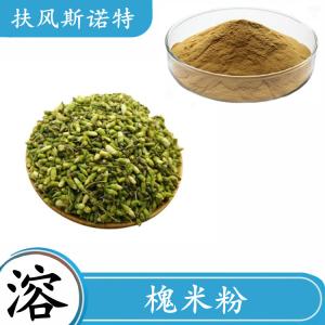斯诺特 槐米粉 多规格浓缩喷雾干燥 可拆包