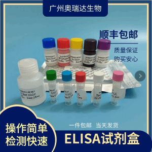 兔甲状旁腺激素(PTH)ELISA试剂盒