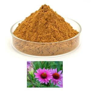 紫锥菊提取物 紫锥菊多糖 菊巨酸 斯诺特生物