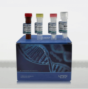 马隐秘杆菌染料法荧光定量PCR试剂盒	