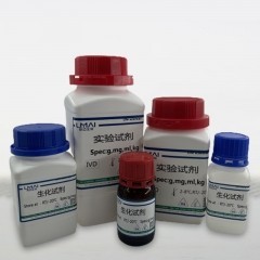 免疫沉淀试剂盒-免疫磁珠蛋白A/G