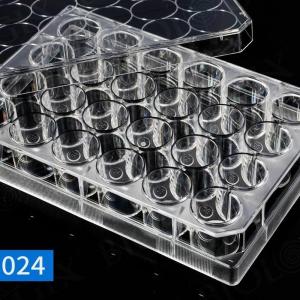 Biologix巴罗克 24孔细胞培养板 07-6024  无菌无致热源