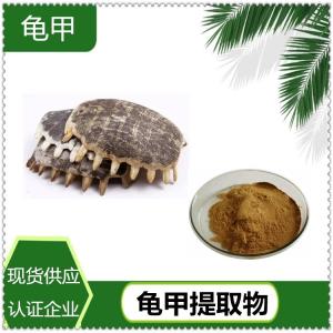 龟甲提取物 斯诺特生物定制 水溶棕黄色精细粉末