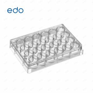 EDO 24孔细胞培养板 等离子处理 高度透明灭菌独立包装 1353024