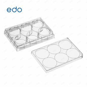 edo 48孔板细胞培养等离子处理板 细胞贴附力强 独立包装，方便易用