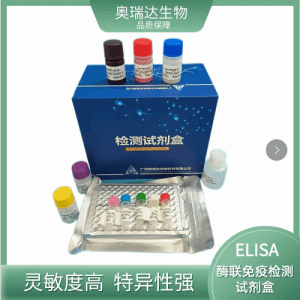 猪脑型肌酸激酶(CKB)ELISA试剂盒