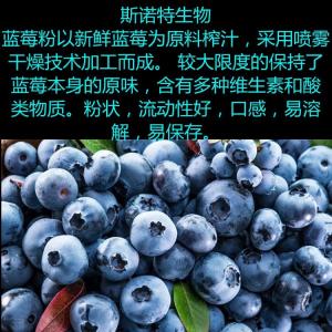 果蔬粉固体饮料 蓝莓粉 压片糖果斯诺特生物定制产品