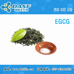 表没食子儿茶素 3-O-(3-O-甲基)没食子酸酯